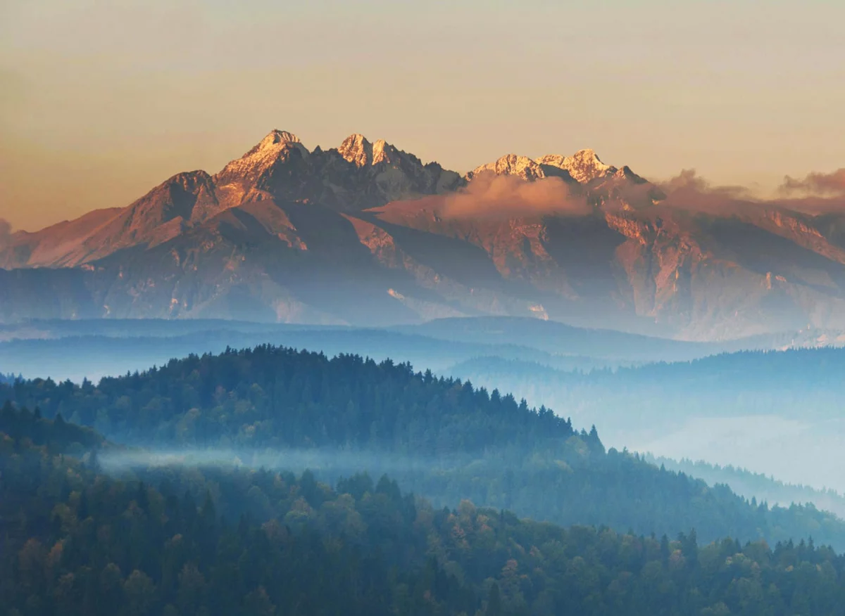 Sposób na to aby  obliczyć ślad węglowy w firmie na sto procent!