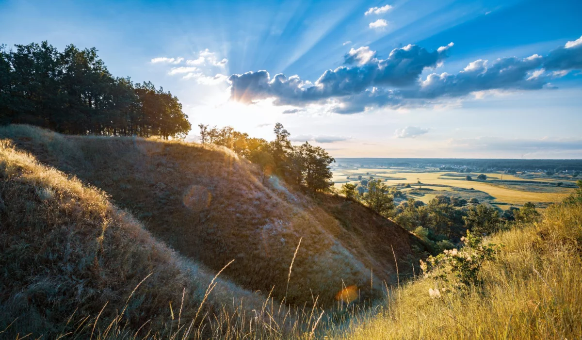 Kto nie musi Oddać elektrośmiecie w Poznaniu?