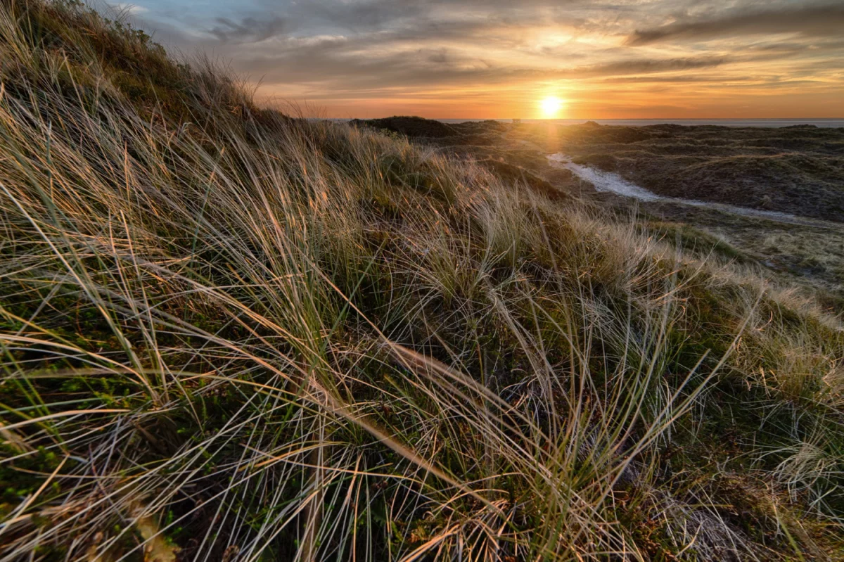 Klimatyzacja - czy to się opłaca?