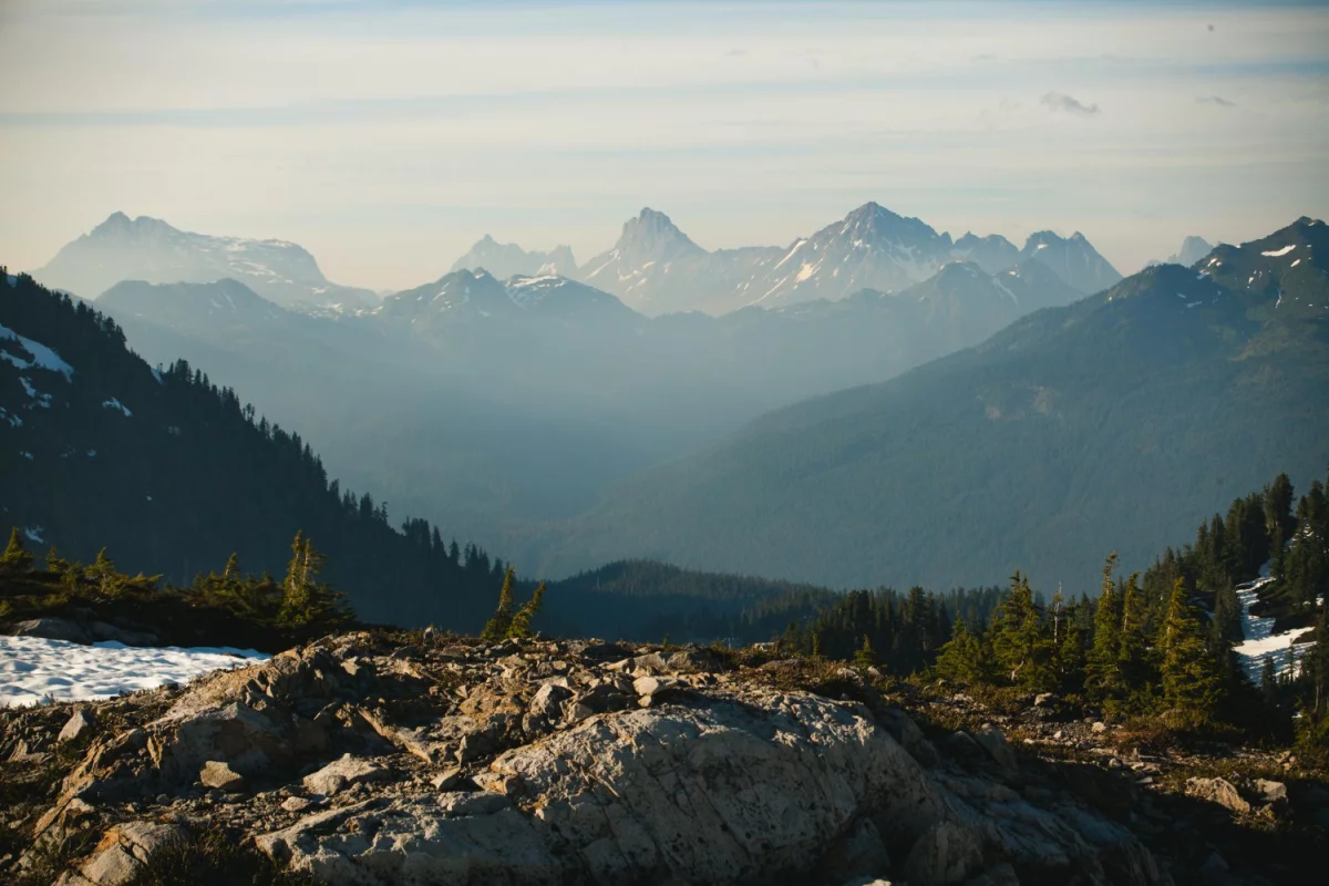 Dlaczego w 2023 warto  robić marketing?