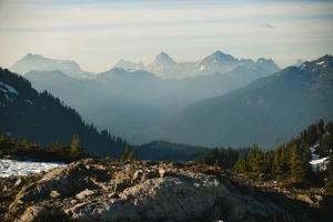 Kuchnia roslinna, wegetarianizm i weganizm